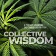 Collective Wisdom show