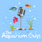 The Aquarium Guys show