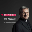 WBS-Weggeleit show