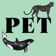 Pet show