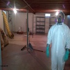 Oahu Mold Testing & Removal show