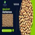 Mexican garbanzos show